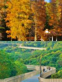 深圳免費打卡天花板！16個山海秘境拍爆朋友圈