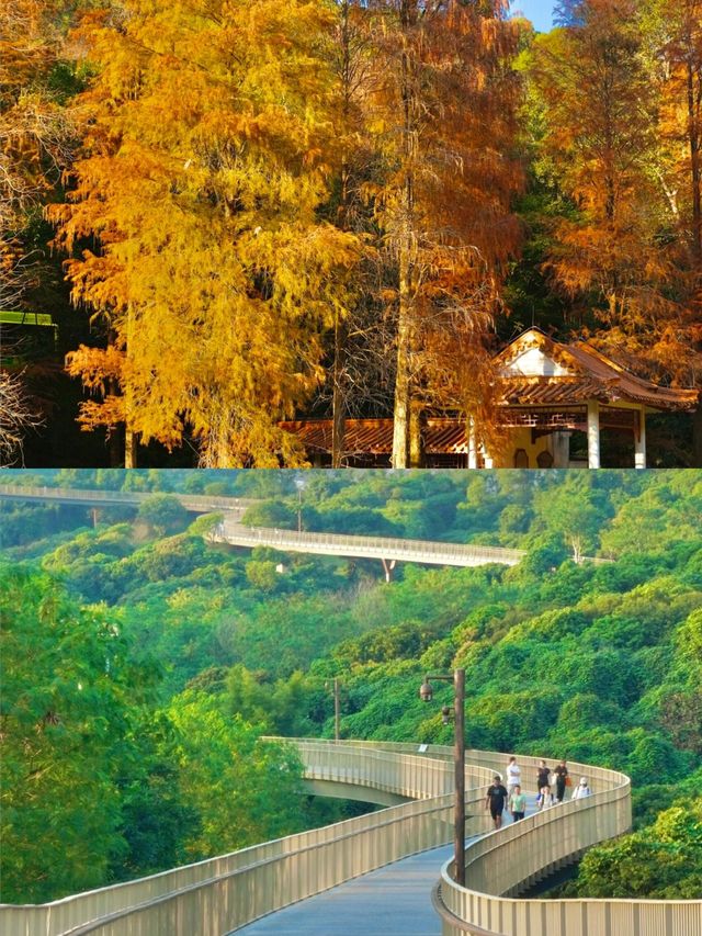 深圳免費打卡天花板！16個山海秘境拍爆朋友圈