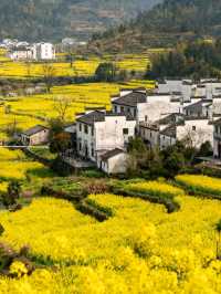 江西婺源：春到篁嶺曬秋忙，梯田花海與徽派古村撞出詩意