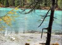 太難了!終於把喀納斯旅遊攻略搞清楚了