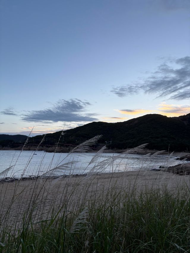 11月象山小眾看海指南！承包整片海景的治癒之旅