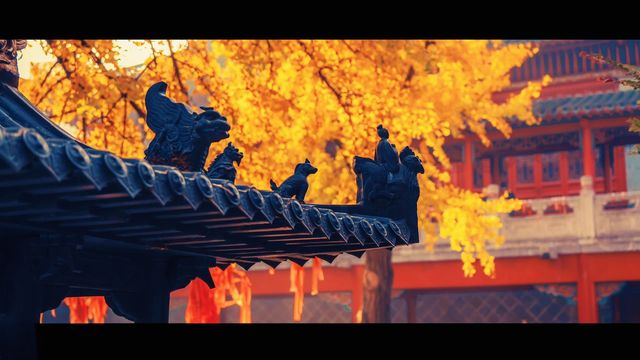 南京最禪意銀杏地毗盧寺私藏機位攻略