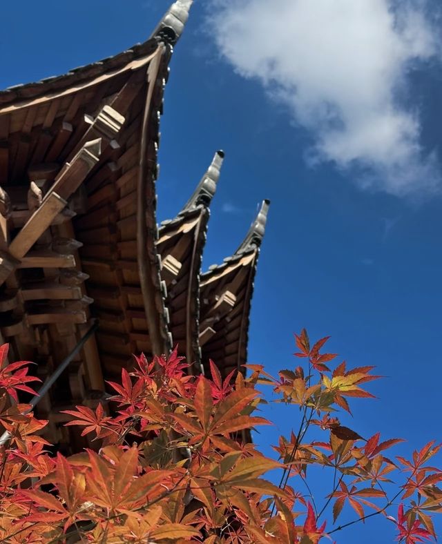 棲霞山賞秋｜南京的秋日浪漫，藏在這片紅楓裡