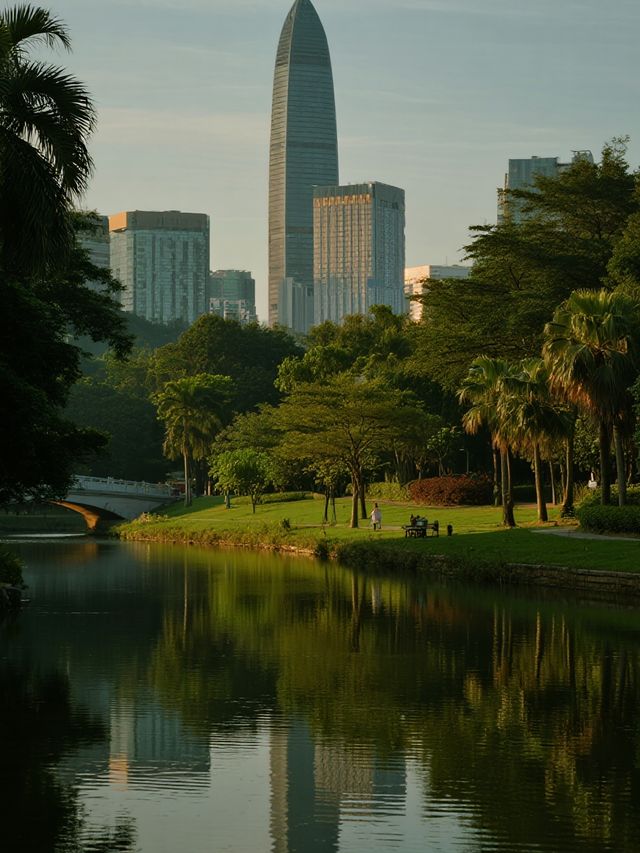 深圳中心公園親子遊地鐵直達！能待一天的寶藏地