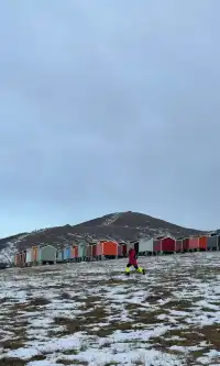 去了沒有雪松的樺皮嶺,想看你們拍的雪松