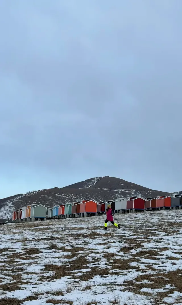 去了沒有雪松的樺皮嶺,想看你們拍的雪松 去了沒有雪松的樺皮嶺,想看你們拍的雪松