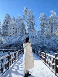 瓦屋山雪已就位！成都自駕3h直達的冰雪快樂，霧淞、冰瀑、滑雪全拿捏，新手閉眼衝的攻略整理好啦，趕緊碼