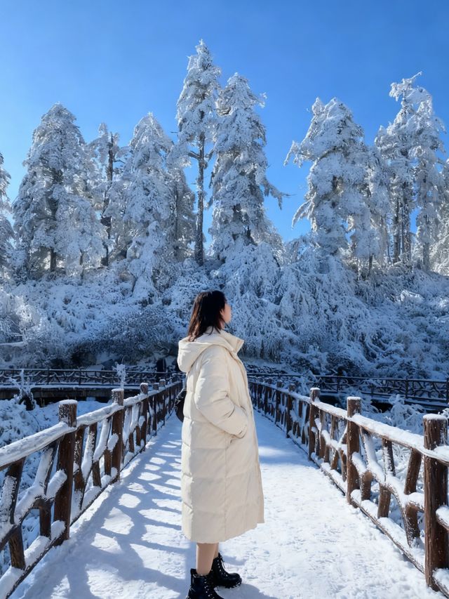 瓦屋山雪已就位！成都自駕3h直達的冰雪快樂，霧淞、冰瀑、滑雪全拿捏，新手閉眼衝的攻略整理好啦，趕緊碼