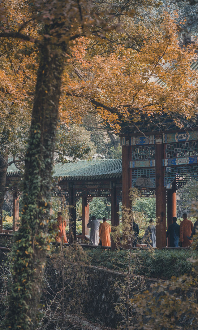接下來的韶關,將是上帝打翻的調色盤! 接下來的韶關,將是上帝打翻的調色盤!