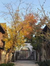 在鹽官,遇見江南最絢爛的深秋