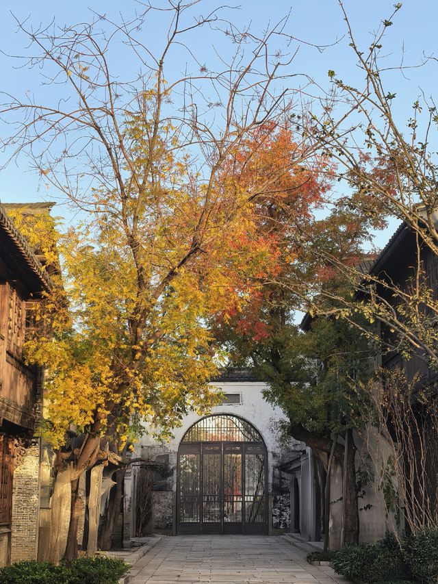 在鹽官,遇見江南最絢爛的深秋 在鹽官,遇見江南最絢爛的深秋