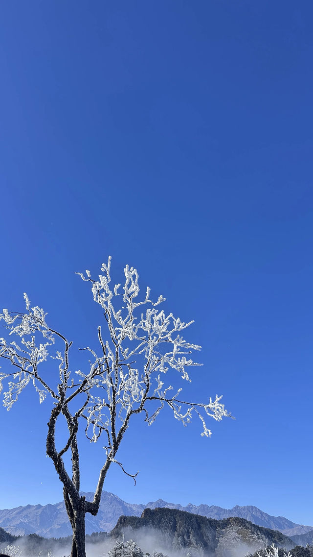 西嶺雪山真的值得🫶