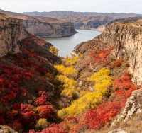 11月老牛灣,黃河峽谷的初冬私語