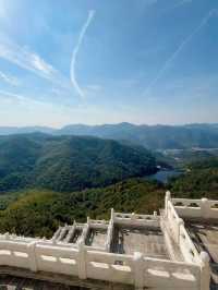 講真！花一百多去看個大金佛值不值？大實話全在這