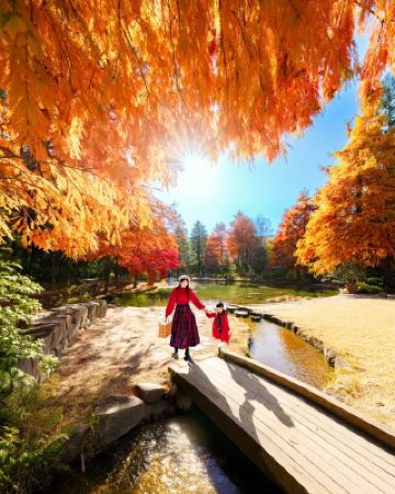 Golden Autumn Treasure Park for Kids