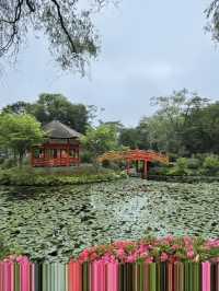 日本1日包車遊熱門景點全打卡