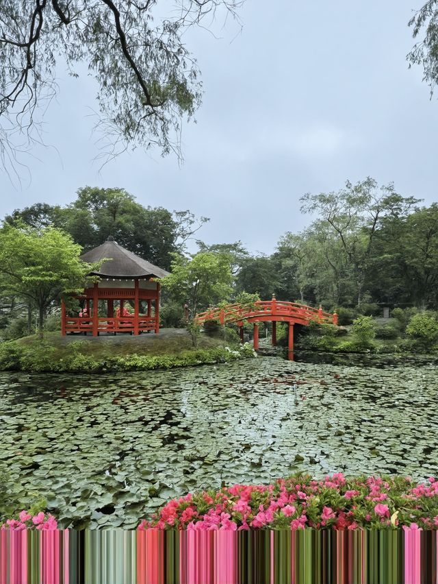 日本1日包車遊熱門景點全打卡