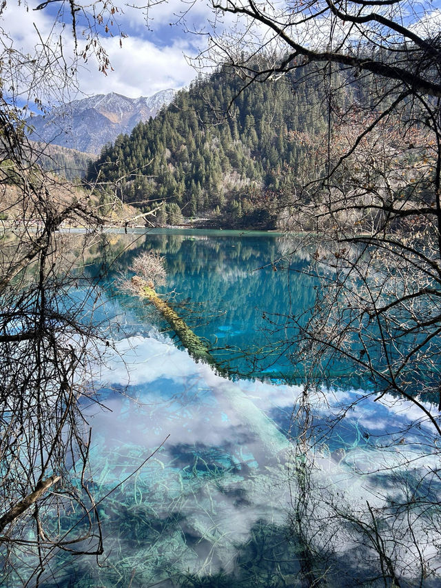 人均700九寨溝兩天一夜窮遊攻略｜徐州出發版