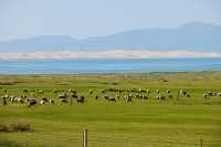 仙海錯溫布-庫庫諾爾-青海湖青海天境遊