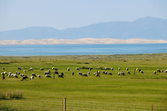 仙海錯溫布-庫庫諾爾-青海湖青海天境遊 仙海錯溫布-庫庫諾爾-青海湖青海天境遊