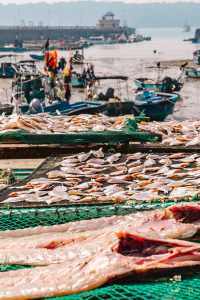 涠洲島|原來好玩好吃的都在淡季~