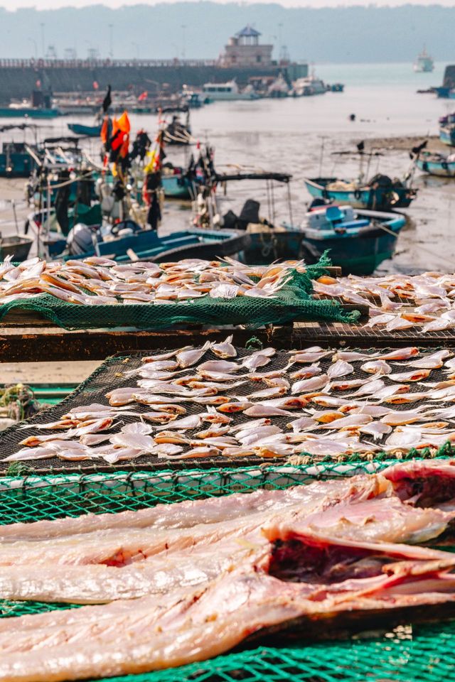涠洲島|原來好玩好吃的都在淡季~ 涠洲島|原來好玩好吃的都在淡季~