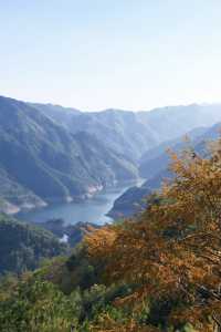 賞秋倒計時,四明山再不去葉子都謝完了