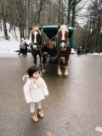 新天鵝堡夢幻冰雪城堡