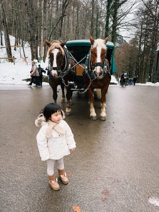 新天鵝堡夢幻冰雪城堡 新天鵝堡夢幻冰雪城堡