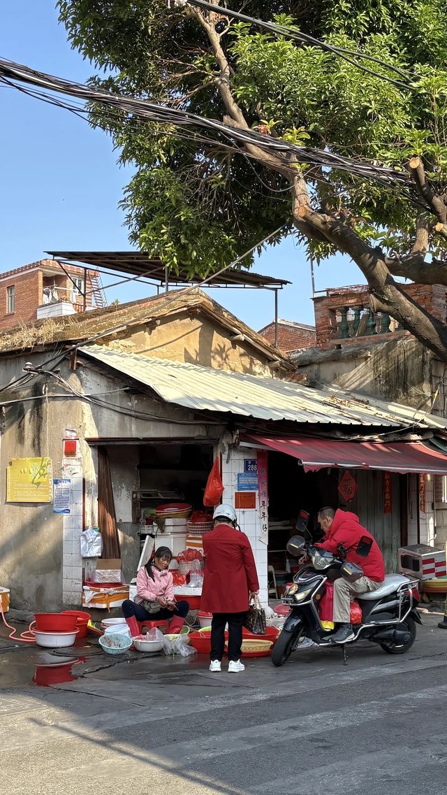 淡季的泉州也太chill了吧古城漫步全攻略 淡季的泉州也太chill了吧古城漫步全攻略