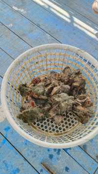 南澳島極限一日遊全攻略！暴走7大景點不踩雷