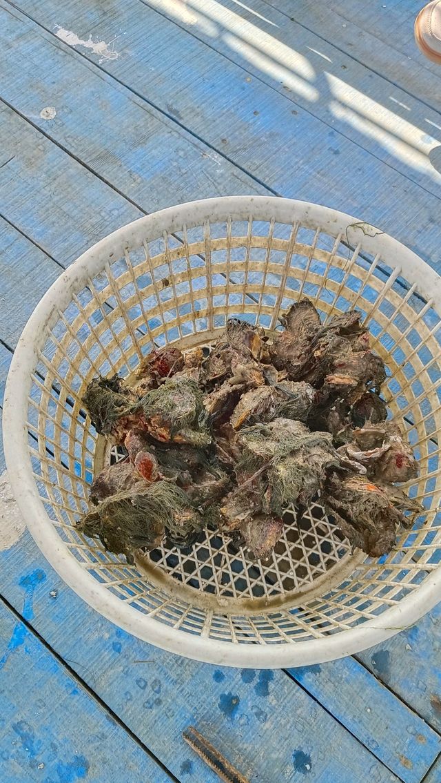 南澳島極限一日遊全攻略！暴走7大景點不踩雷