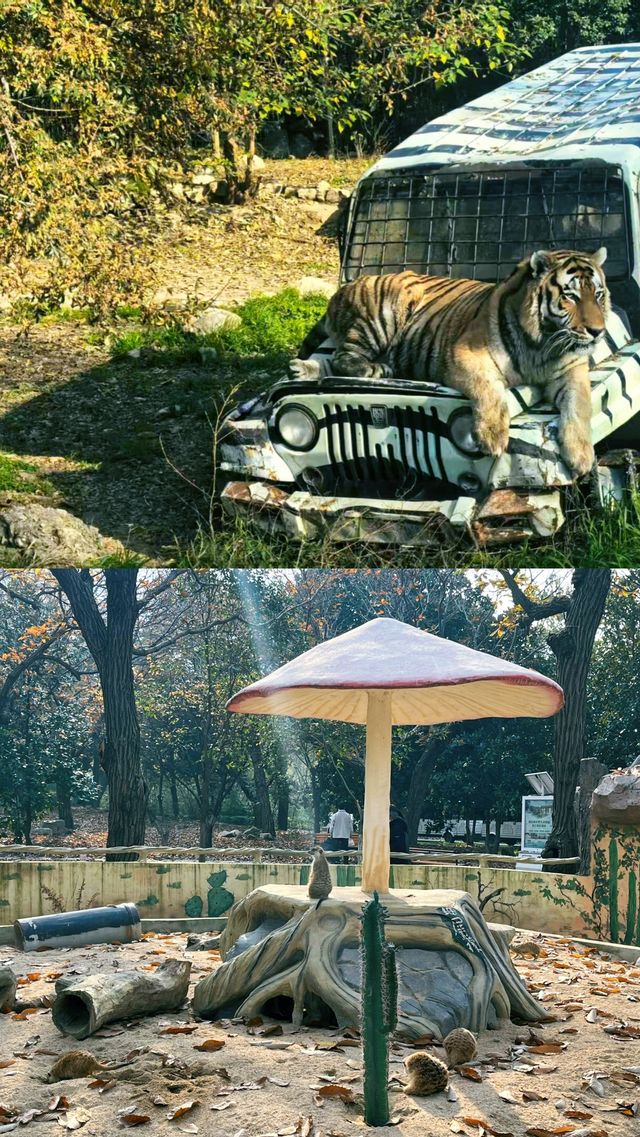 秦嶺山下的動物王國!人均150元玩轉自然野趣 秦嶺山下的動物王國!人均150元玩轉自然野趣