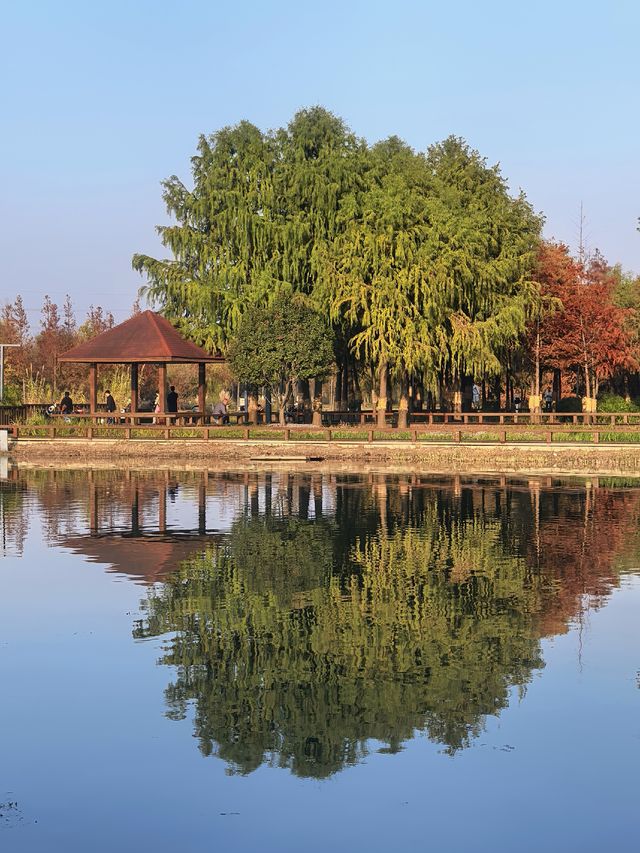 上海，沔青公園