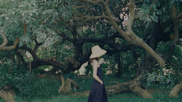 廈門有一個很會拍大大大大大景的攝影師 廈門有一個很會拍大大大大大景的攝影師