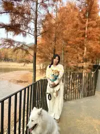 12.1實況live紹興鳳凰山美翻了!!!!!!