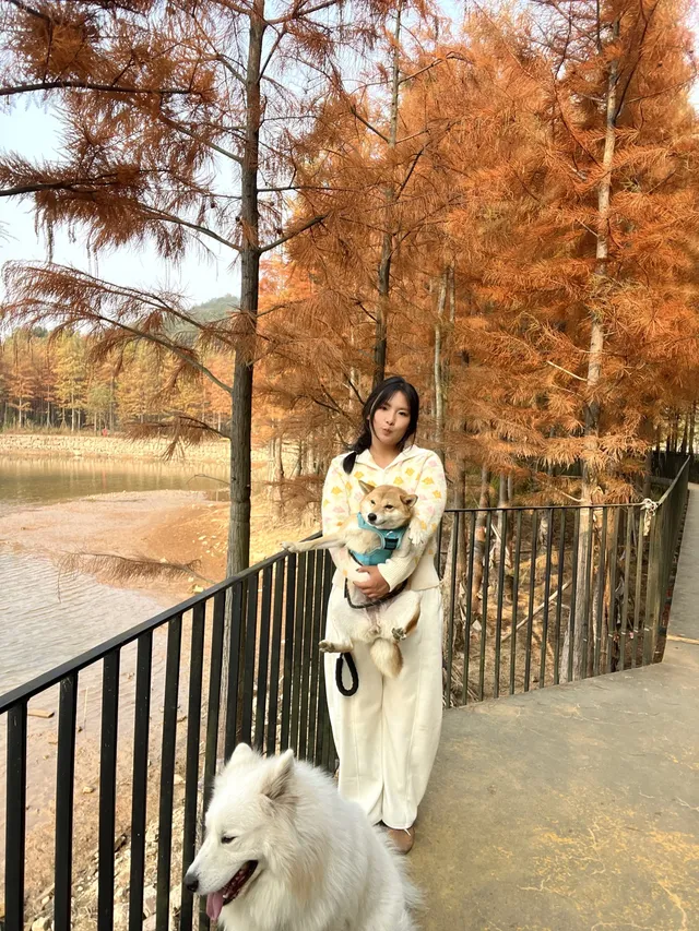 12.1實況live紹興鳳凰山美翻了!!!!!! 12.1實況live紹興鳳凰山美翻了!!!!!!