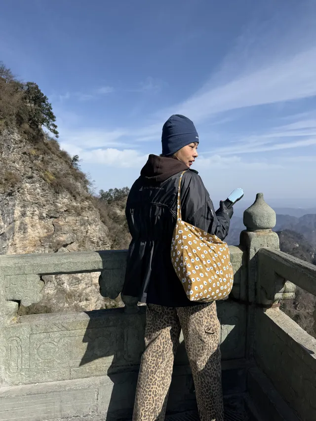 爬武當山已回/現在的腿已經不是自己的腿