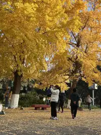 德陽｜石刻公園