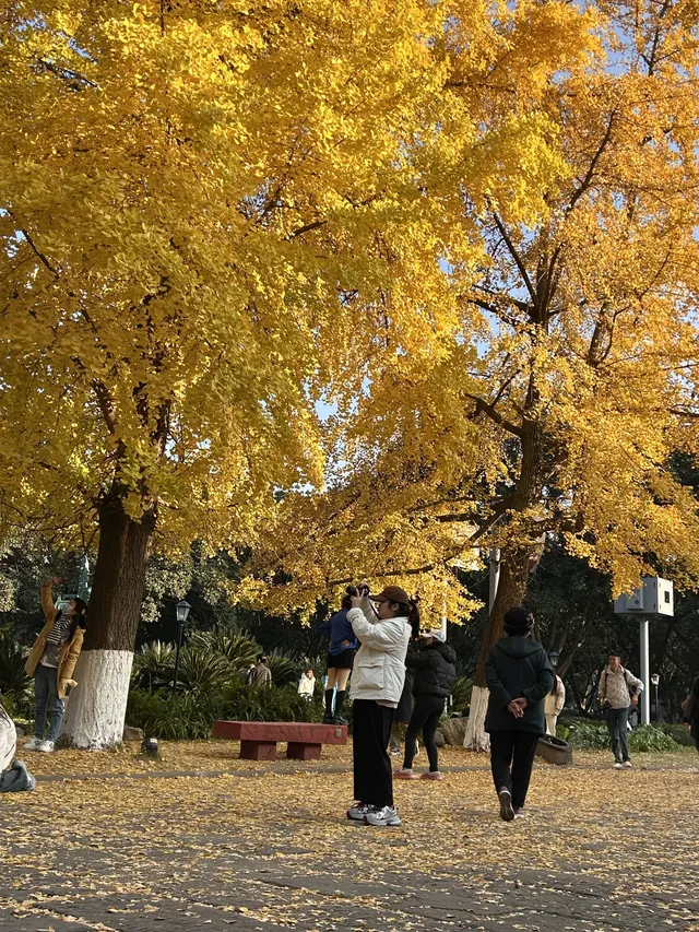 德陽｜石刻公園