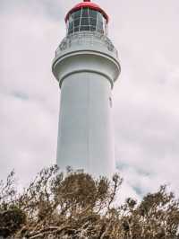 1天澳洲包車遊 輕鬆走遍熱門打卡地