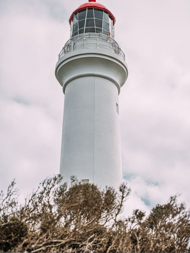 1天澳洲包車遊 輕鬆走遍熱門打卡地 1天澳洲包車遊 輕鬆走遍熱門打卡地