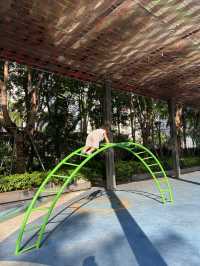 避開人擠人深圳灣親子騎行攻略,新手友好