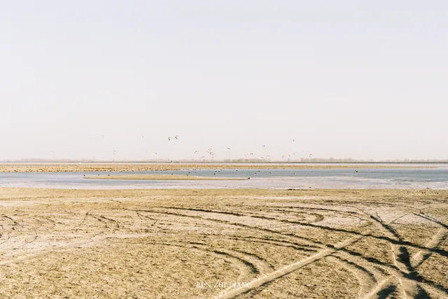 給北海流的候鳥拍組膠片|Portra400 給北海流的候鳥拍組膠片|Portra400