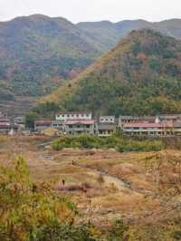 寧波徒步爬山|水杉-蘆葦蕩秋天王炸組合路線