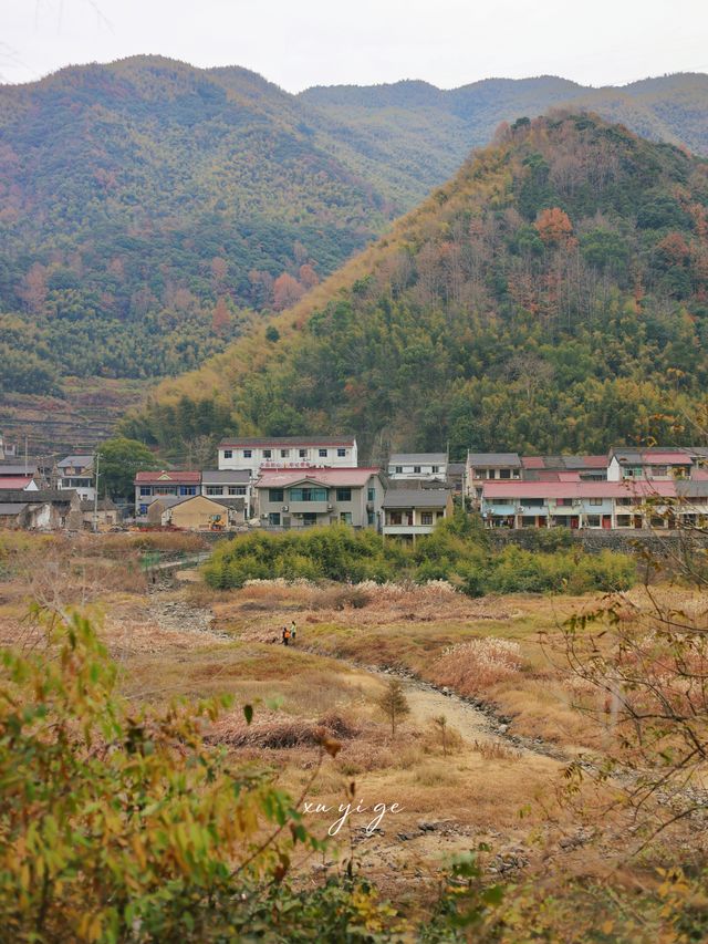 寧波徒步爬山|水杉-蘆葦蕩秋天王炸組合路線