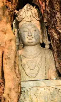 不是蘇州園林，是成都易園