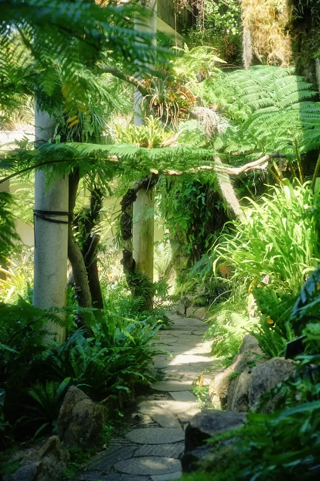 廈門植物園 | 像植物一樣呼吸