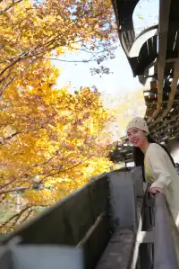 世博公園一年100次都不嫌膩（附路線
