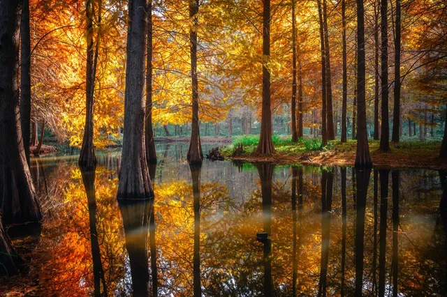 連夜來到南京只為拍到這幾張